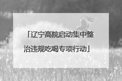 辽宁高院启动集中整治违规吃喝专项行动